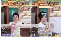 黑冰糕直播爆料视频大全,揭秘幕后真相与精彩瞬间